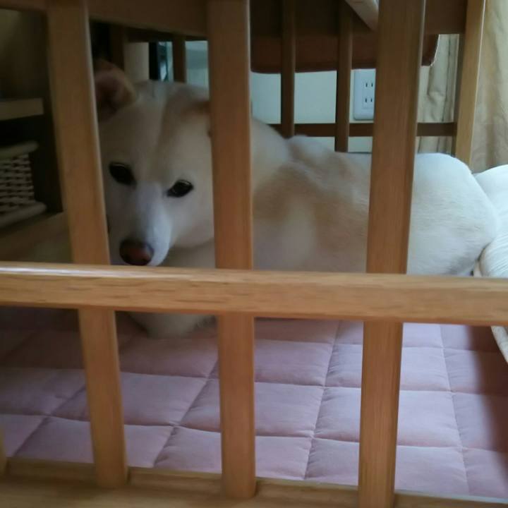 D03065a7 3999 4c8d 83d5 f245e073670a