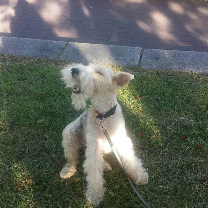 D0319916 207c 4719 8caa dc3dc99b1d72