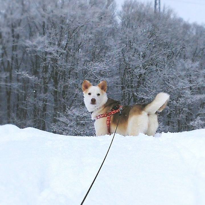 D03204d2 c43c 41a0 a3a2 dcd57c81772d