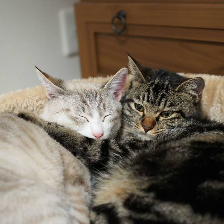 D032090f 10b4 4dd8 b93a 687ca24eca69