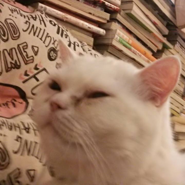 D0324e44 4e30 4d69 95a8 2be34d68dc21