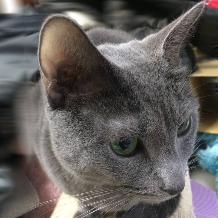 D0330e9a f2f3 413d 8340 269063a20af5