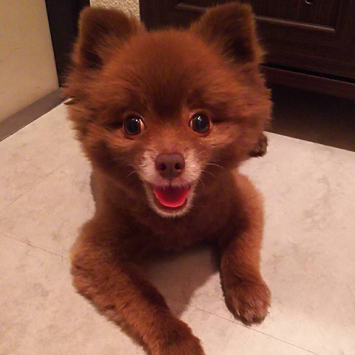 D03374f5 36a1 4940 be87 073538c350ce