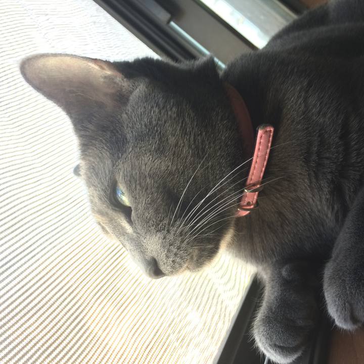 D033d569 4b4f 4fc9 a529 ad107651cd23