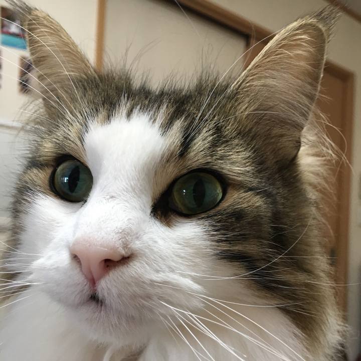 D0343b7a 7b13 4e62 b709 2252fda3218f