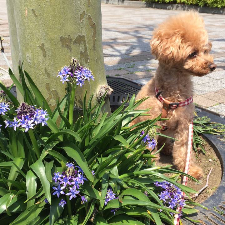 D0345cfd 38f6 4ae8 97b2 7d8033aee94f