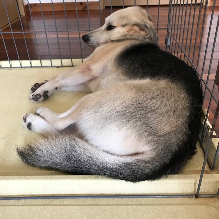 D0349ab1 def1 414c 9767 c761ac23023a