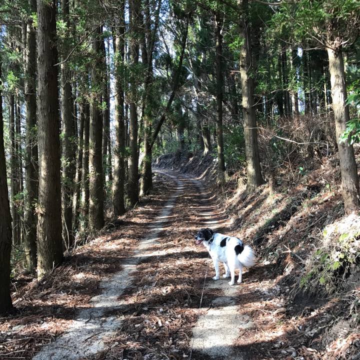 D0351f62 5e3d 4878 8a53 f52a9a5e9802