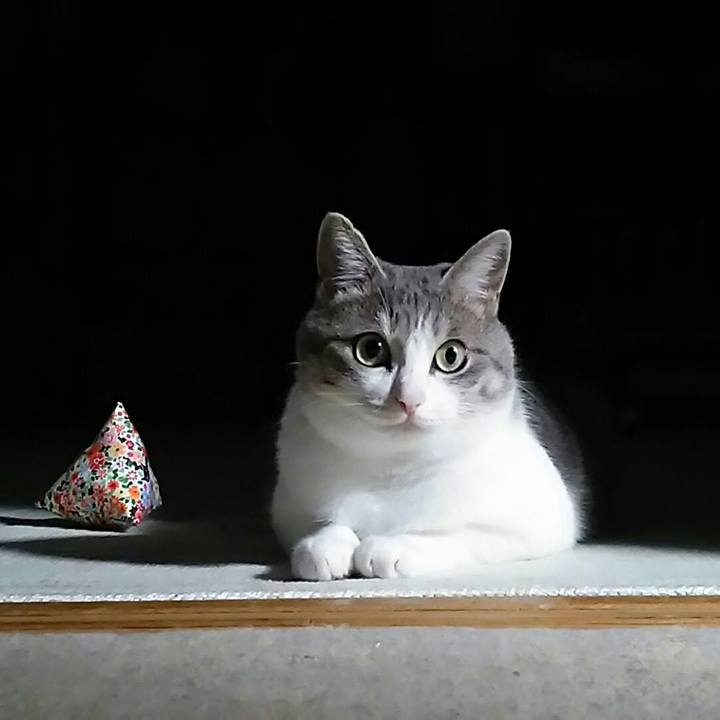 D03547c7 74a2 4d52 a236 6ff09f4198b5