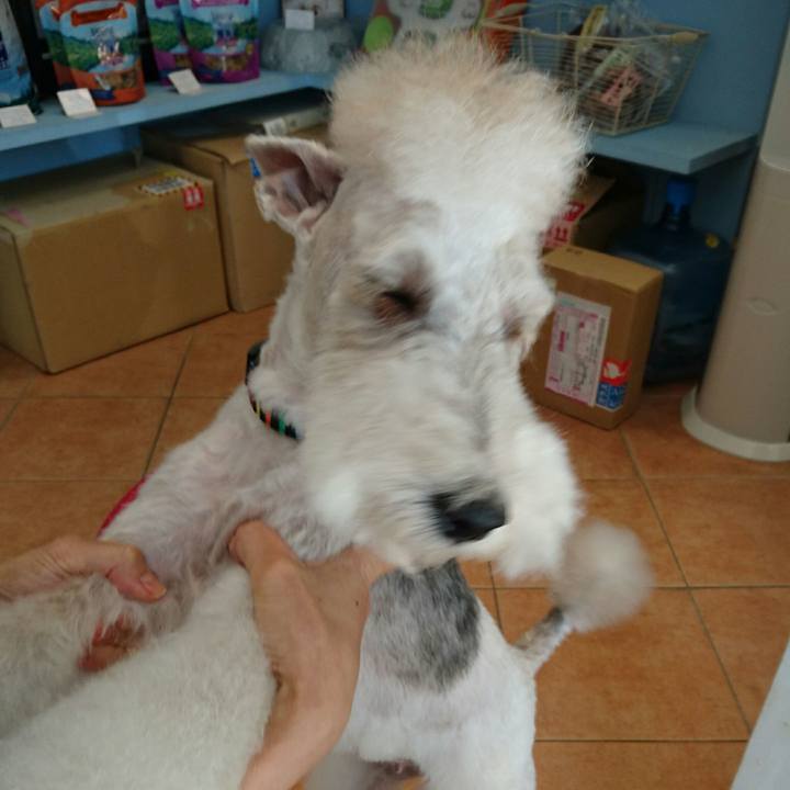 D03562ad 7f40 4c91 9be9 56e76834070f