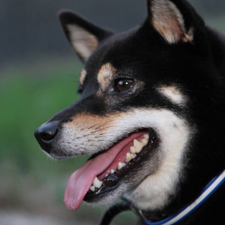 D0357b56 4434 4611 81a1 be6ca872547f