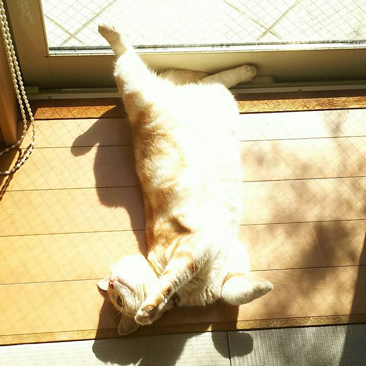 D0369f3c 5a97 4311 a271 056107c2092a