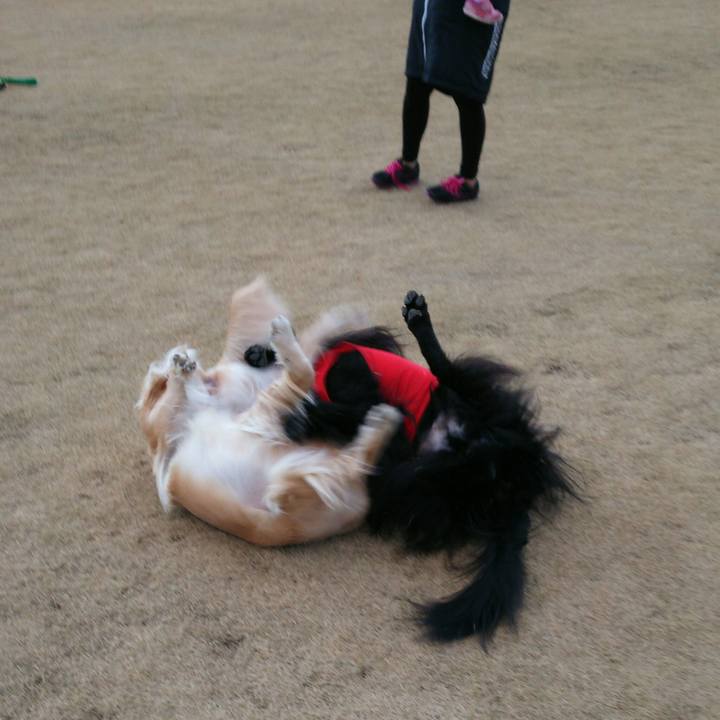 D036d50b f826 4c58 8098 4e672f583b12