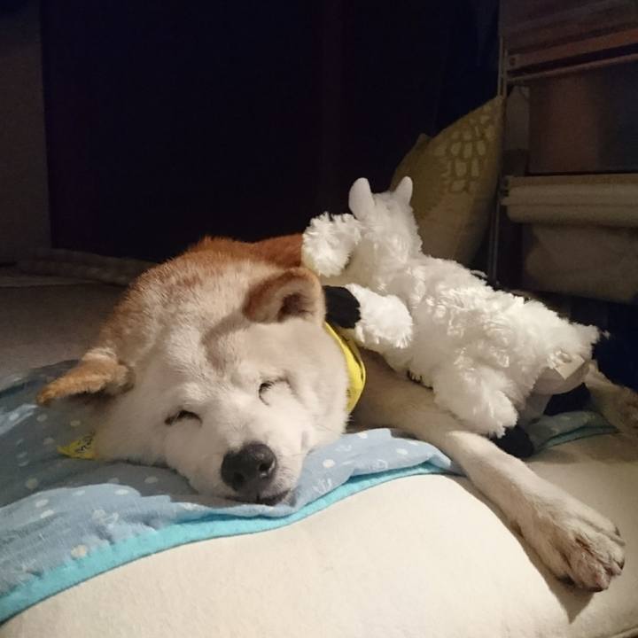 D036de2c ecd8 4d51 b01e ef0387dace14