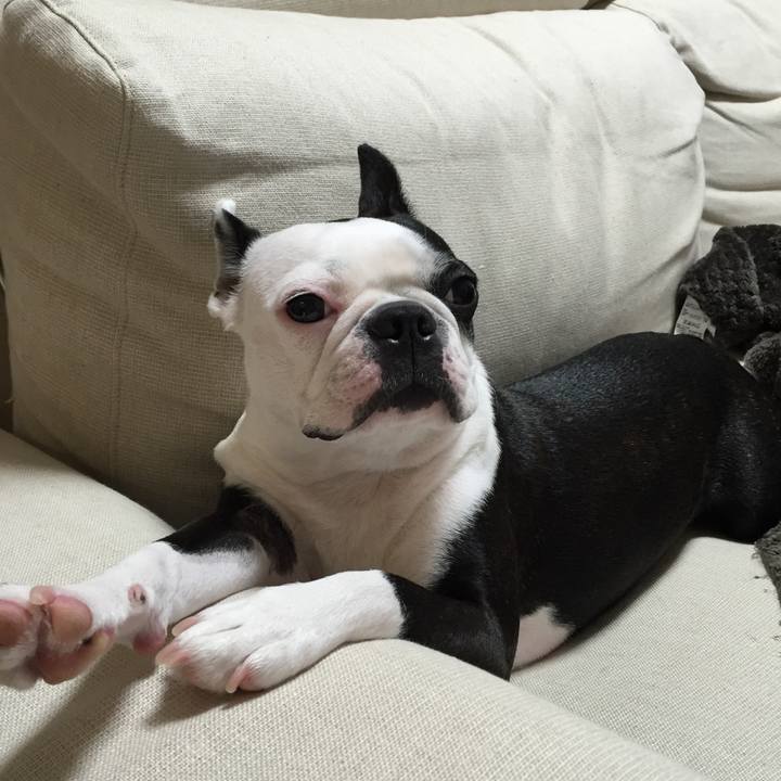 D036fdde a4fa 4cfd 8194 ef66bfded771