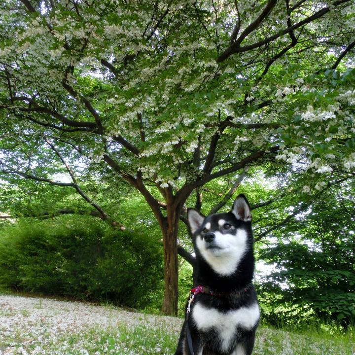 D0376036 d63b 4ed3 a01d a05002238df9