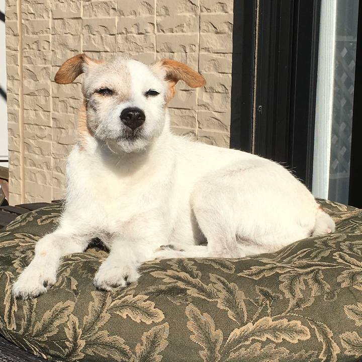 D0377e23 4781 4d2e bc29 3a12e0ae22e3