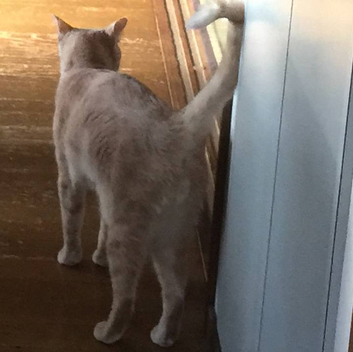 D0380005 2faa 4b05 bd6d 7ecb5380a1e9