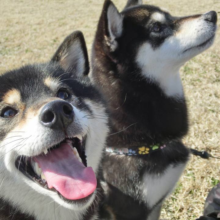 D0380dd9 6ab5 48bd 9d3a 419669b1a6c4