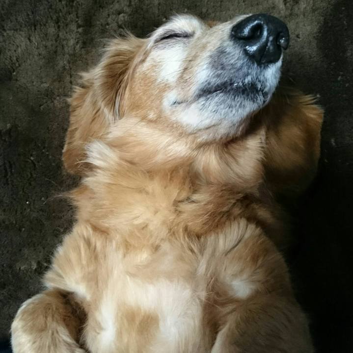 D0381576 24cf 4503 9725 6f0c5fc1c889