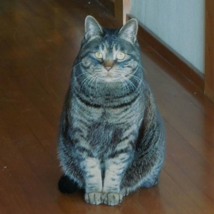 D0388a14 932d 4d6a a1ca 22fe38f915aa