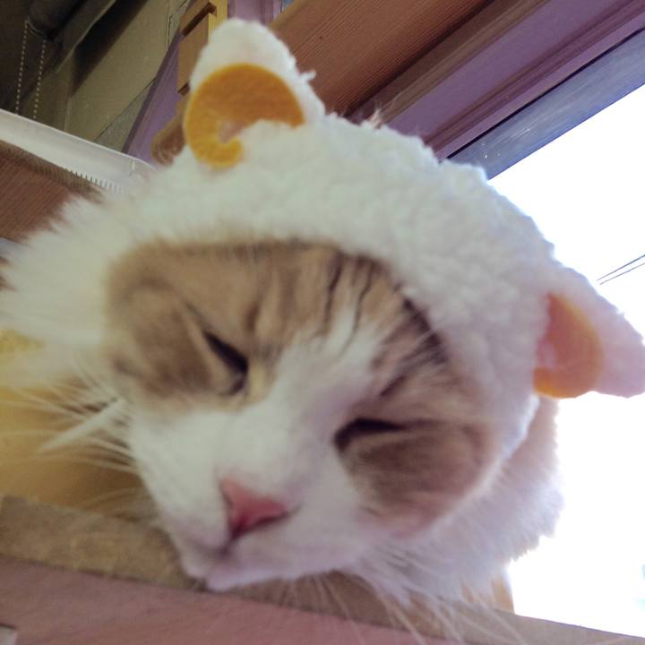 D0389f2e 1e17 4c25 b78a 755d70a931b7