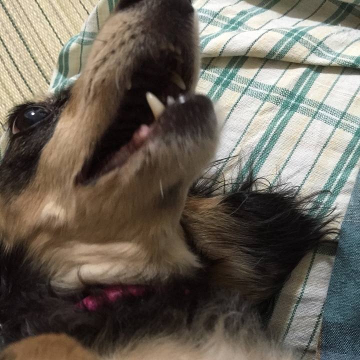 D038f303 9954 4eb0 b2ab 3ce008be4a4c