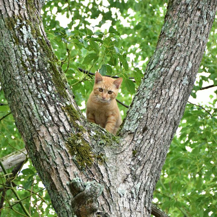 D03a79d3 7c53 40a6 be55 21cdc2556b29