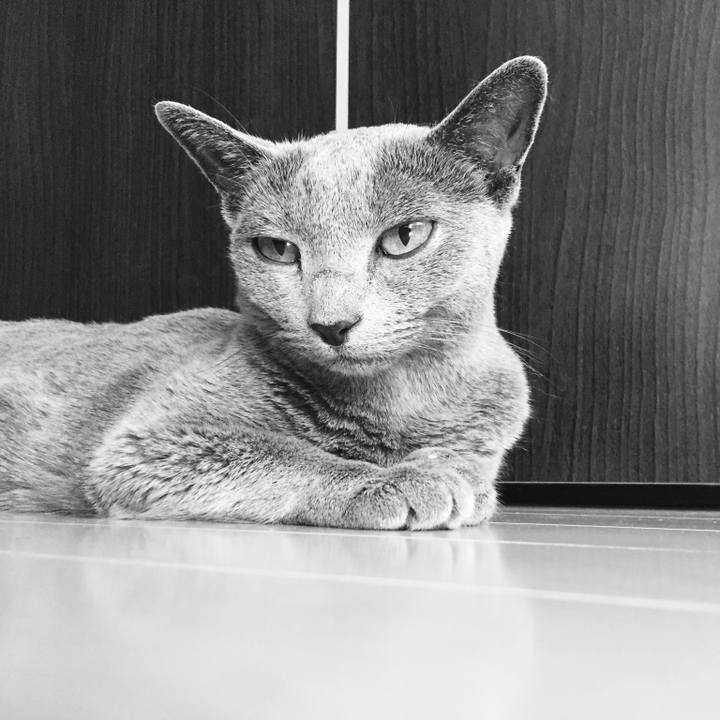 D03a864b 4f8a 4a3a 831a e36074197811