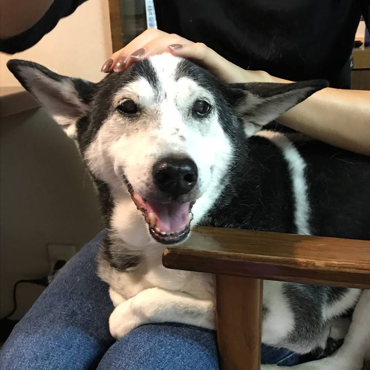 D03affde d023 4f1a 9b95 61784c142254