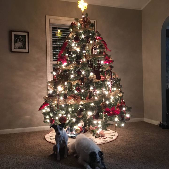 D03b0cef 1964 487a ad1e 983e58e86f0b