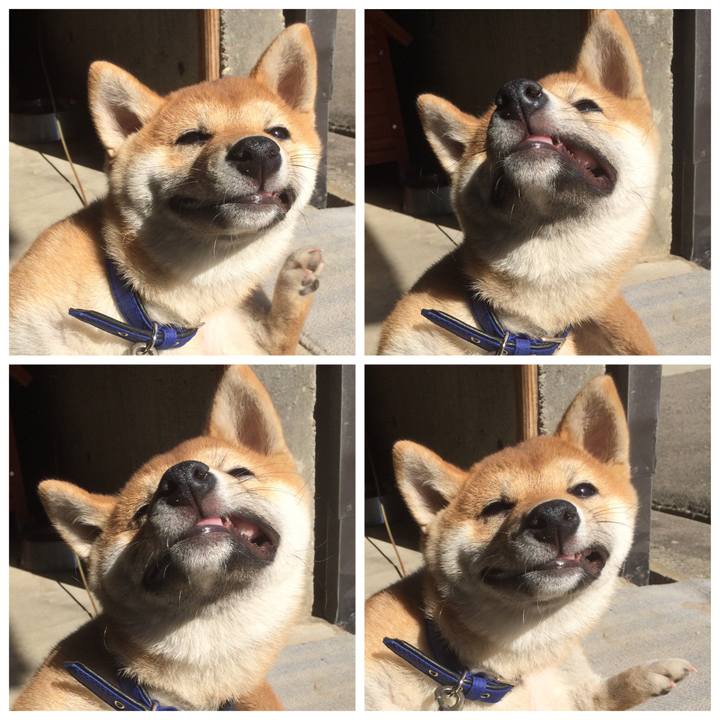 D03b866c 530e 4063 a4f1 2fdaed75951d