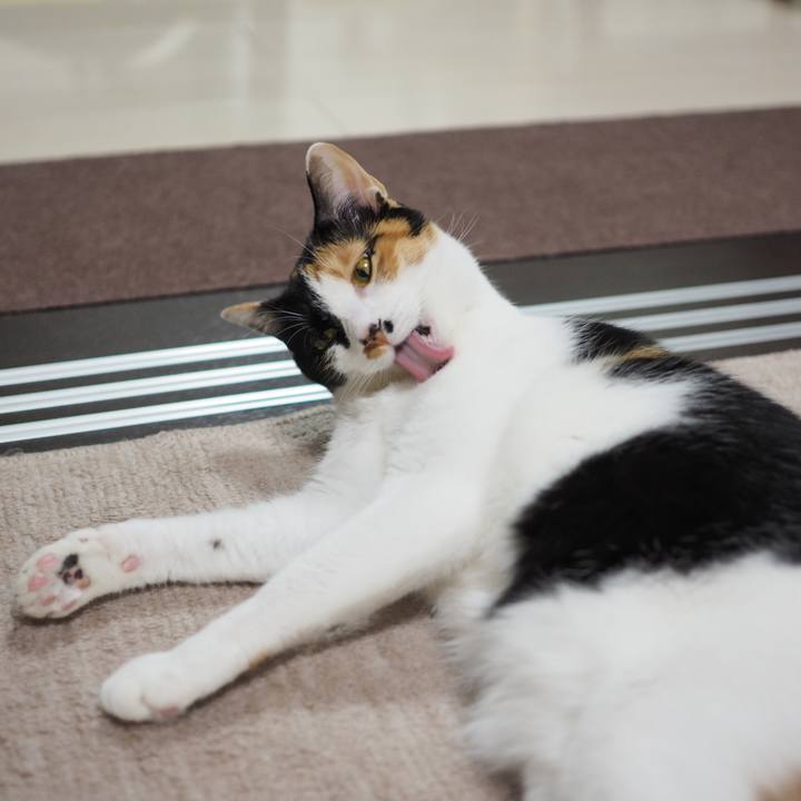 D03c76a9 5736 4aef a382 14b49cf50865