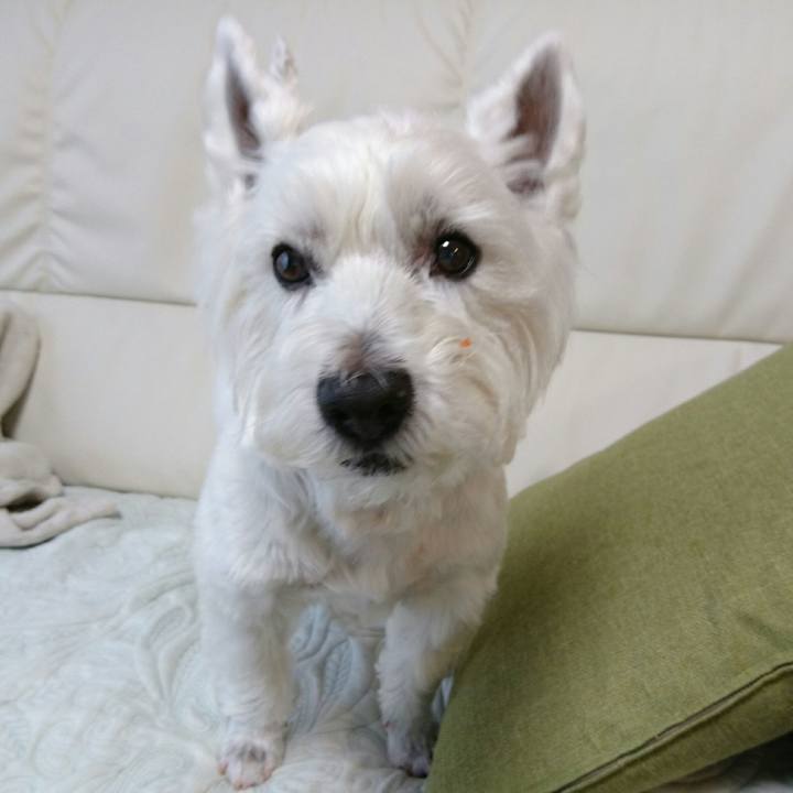 D03ca66c 03a6 4656 ba4e 53398ab30455