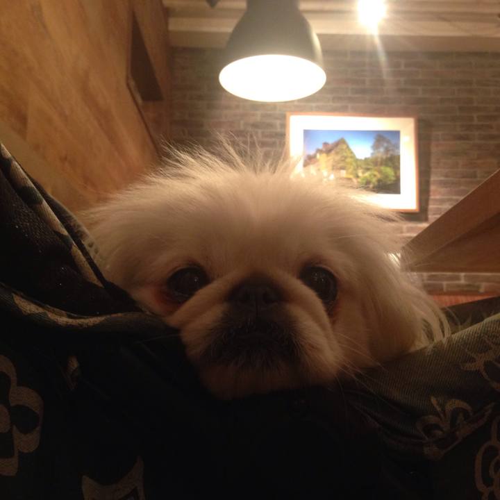 D03cccfd beee 469d 93e6 eb875f427177