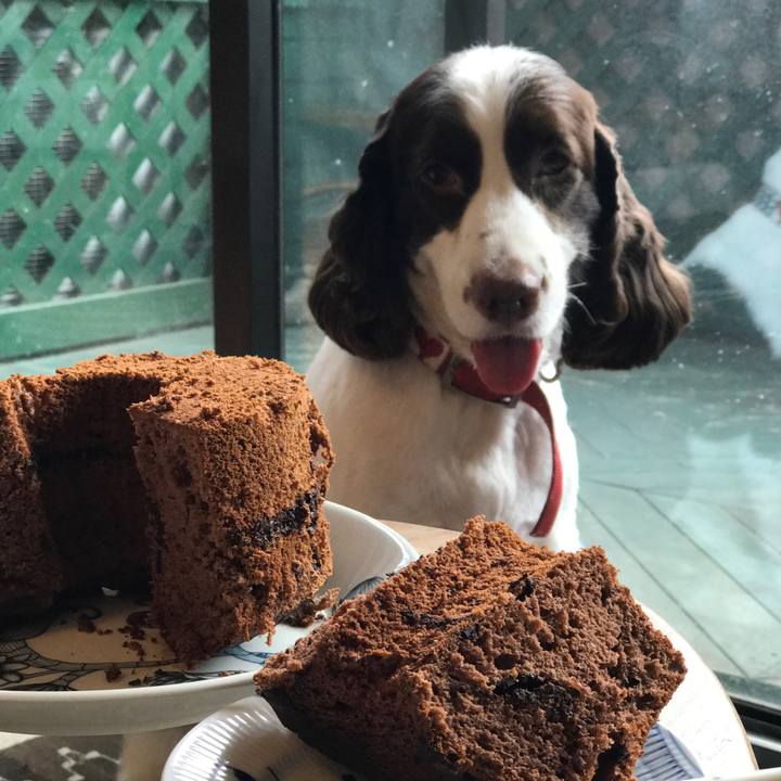 D03cfa3a c0b1 4cbc b5fd ee2357b68d63