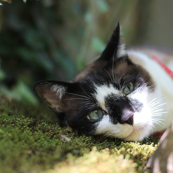 D03d6634 9185 4e46 bbd4 adf472a4a946