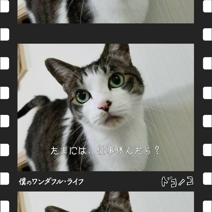 D03d8481 730c 4037 ac42 6a9e0686fee3