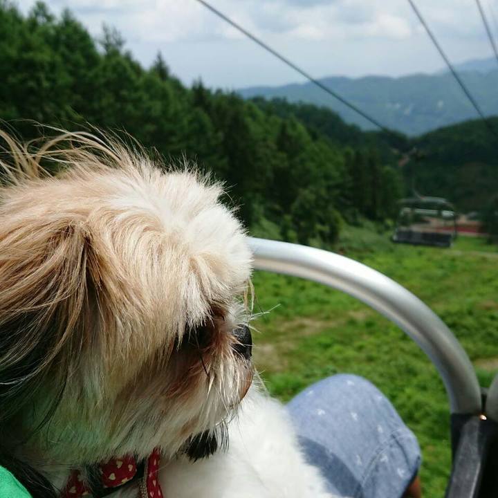 D03ddba9 6d8c 4b57 aa15 ac4791039eec