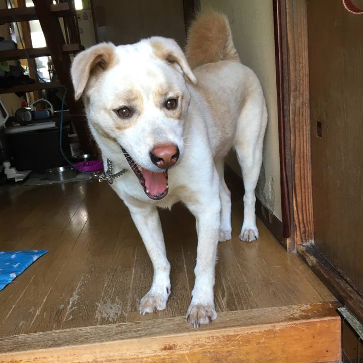 D03e151b 1717 48f6 861e 1b4c94082c77