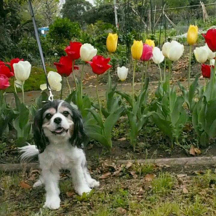 D03e7de8 afef 4945 901a e4f317174eba