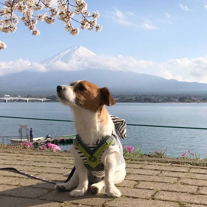 D03ead9c 03ef 47f1 94ff 209fe4fd9b87