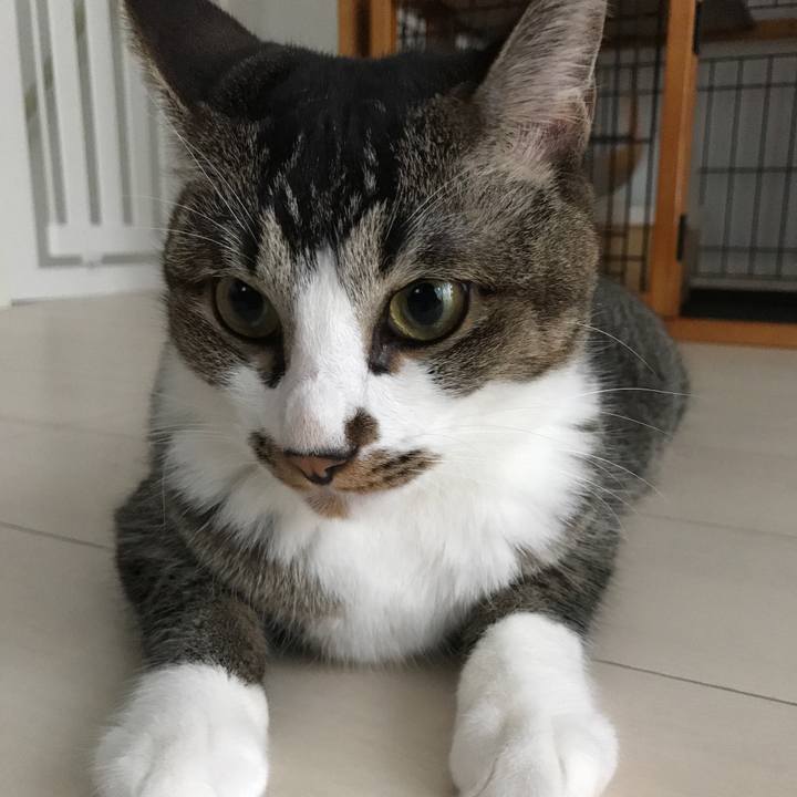 D03ff6d3 8a24 4f06 a5b6 efd6e873ee6f