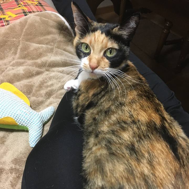 D040c9b6 0331 45b2 9cb1 b6dc941249f8