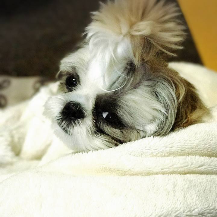 D040e4f7 ba44 45e5 b614 2135348ef154