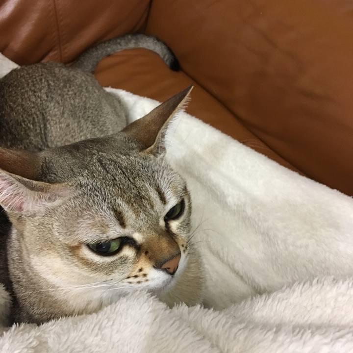 D0410671 9833 462f a579 d117c980ba8e