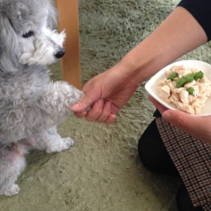 D041cbd8 2fbd 4b5b b5c4 9d33137c8ff6