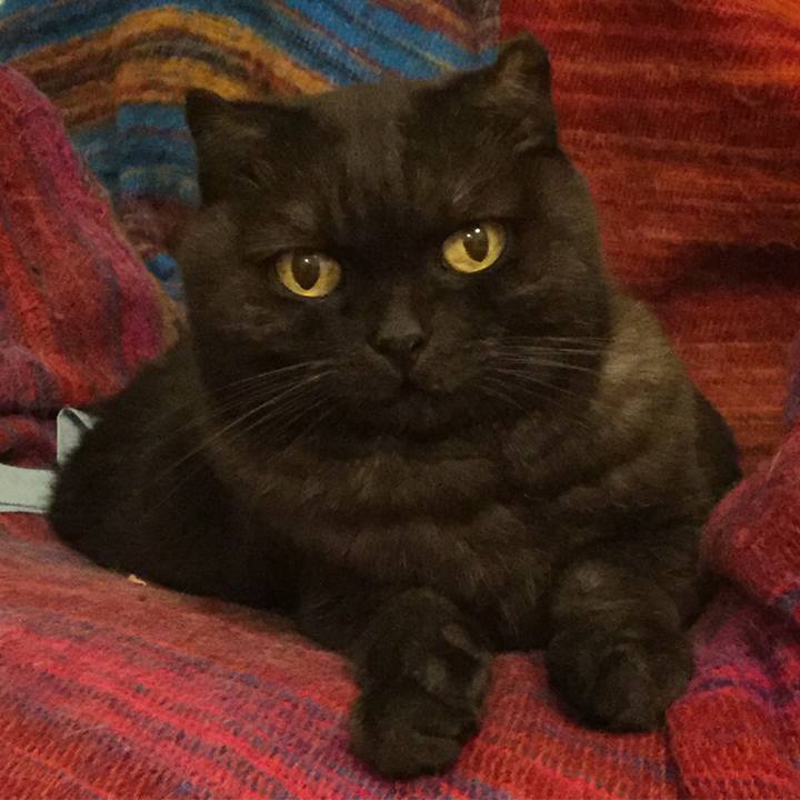 D042abf5 5705 4fb2 9481 639cbcdd204a