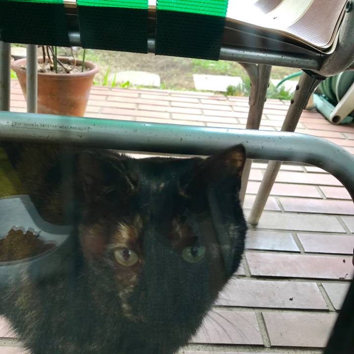 D04306f5 f8fc 407a 86d7 c873319c51b8