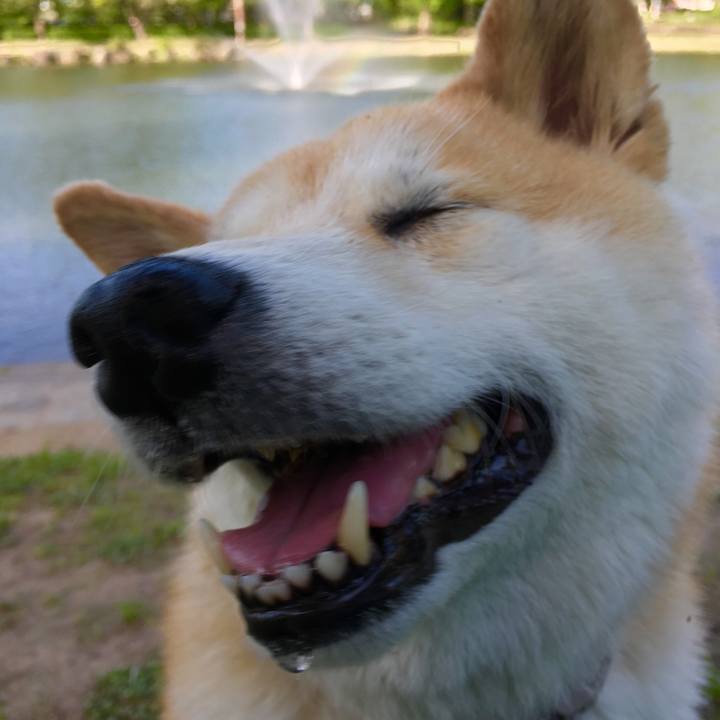 D04308d1 054e 4c50 9852 39c1be44cace